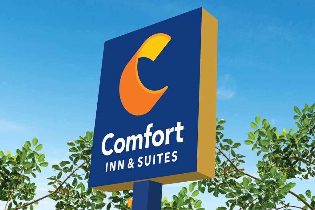 Comfort Inn & Suites High Point - Archdale Bagian luar foto